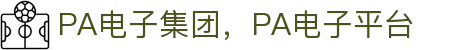 PA电子集团官网